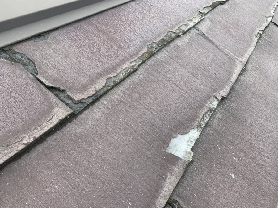 ニチハーパミール