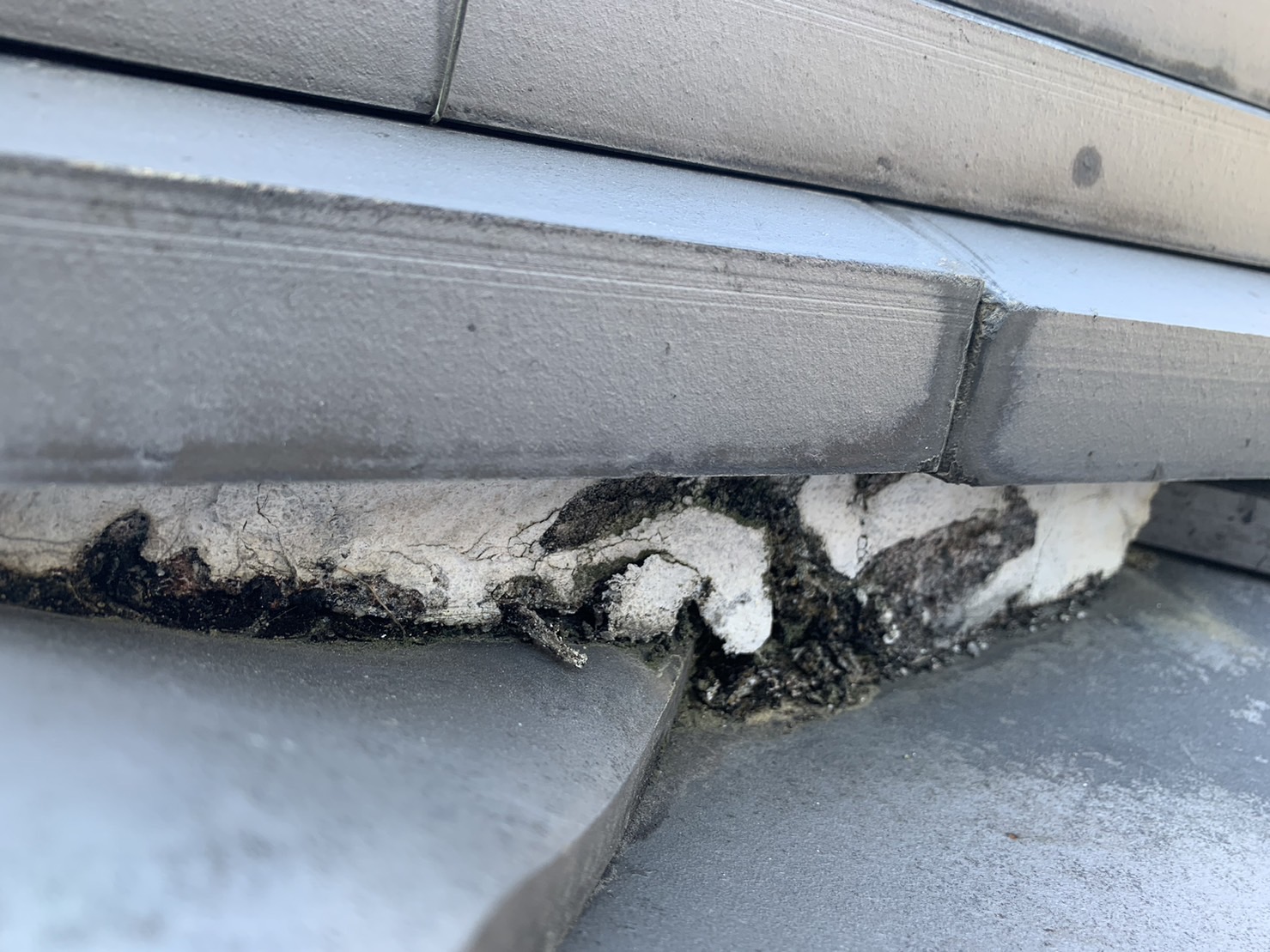 剥がれた漆喰のアップ写真