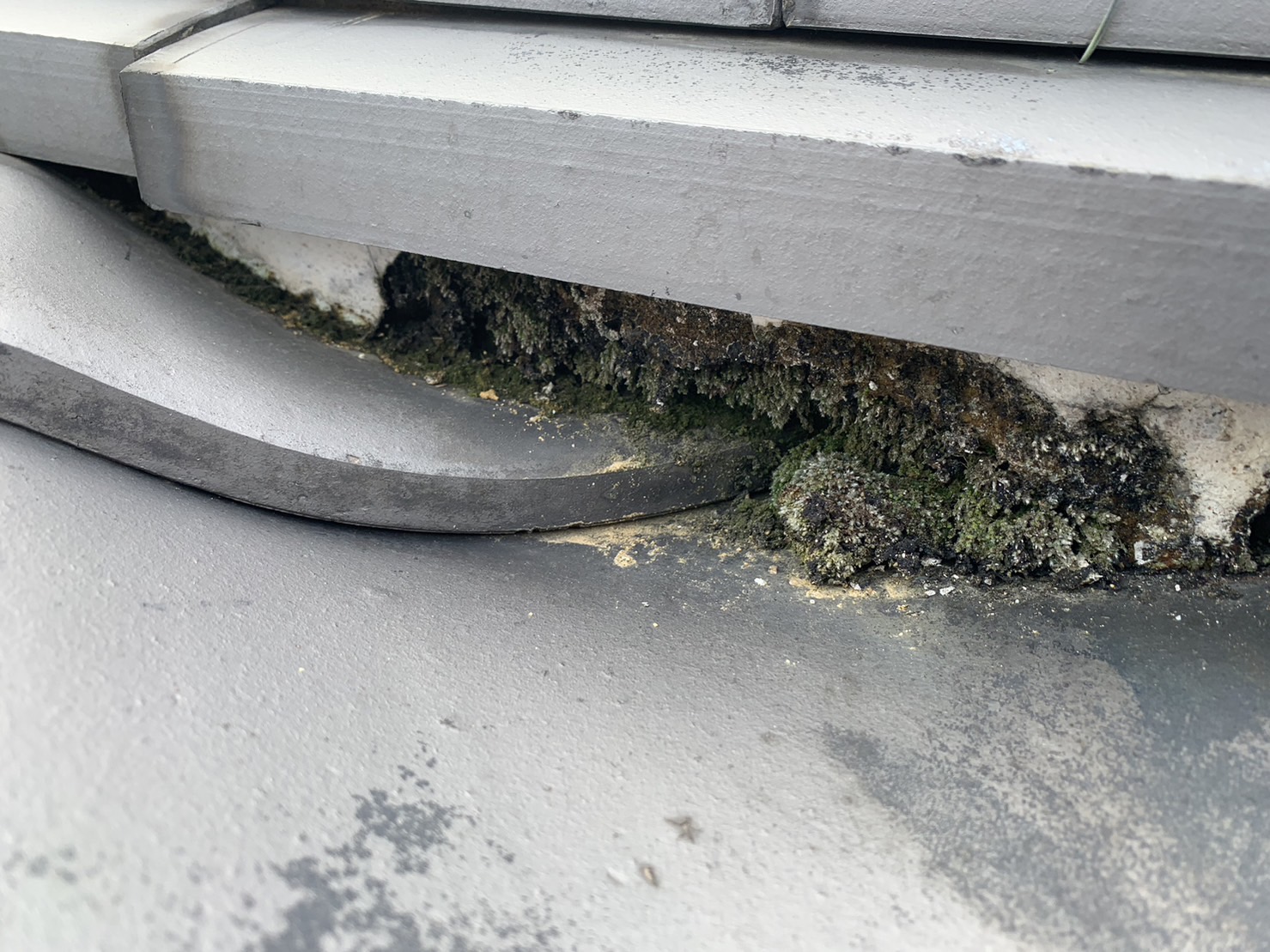 劣化現場の写真