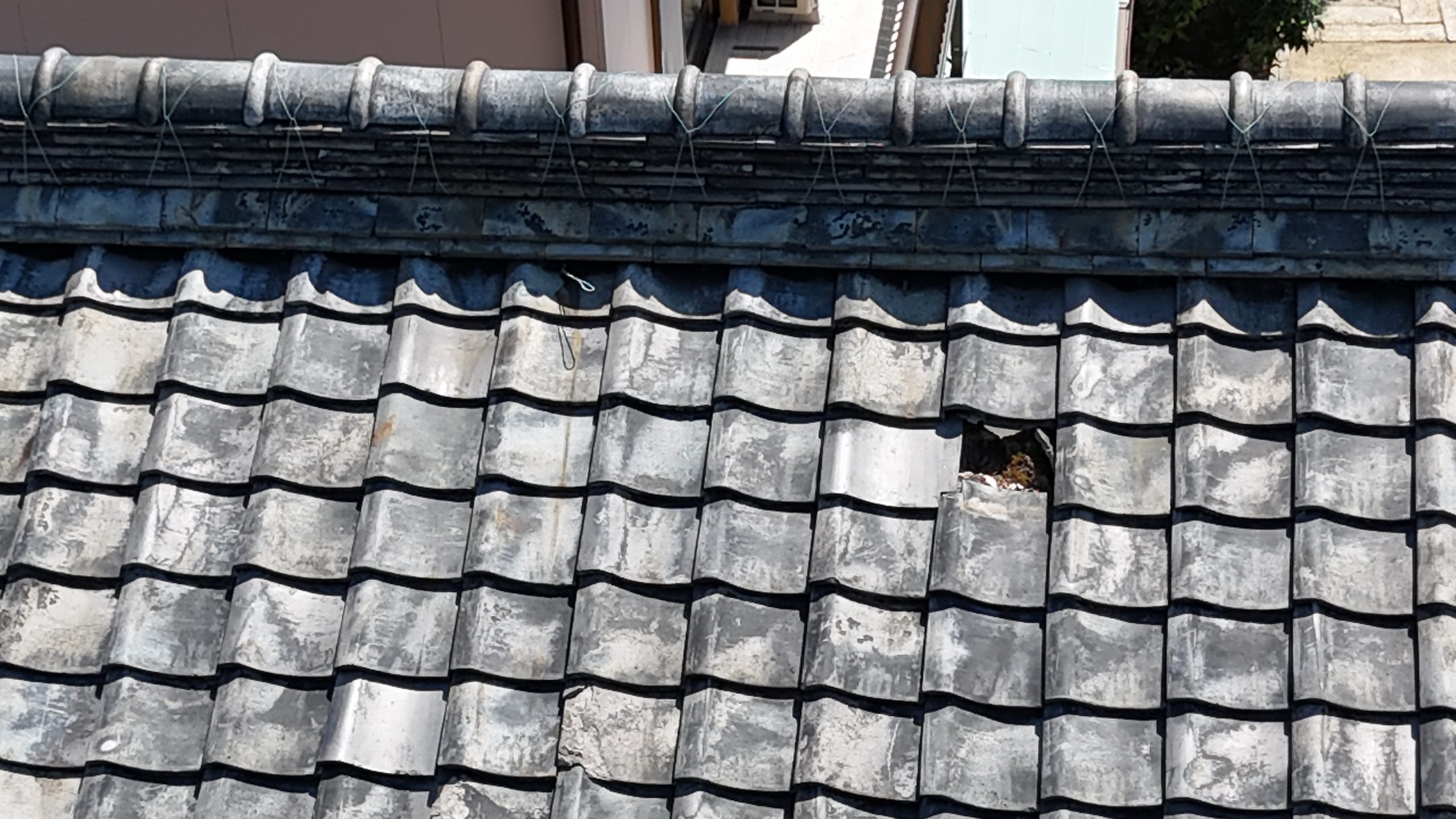 小牧市 屋根修理