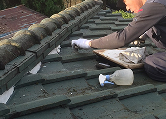 漆喰詰め直し風景