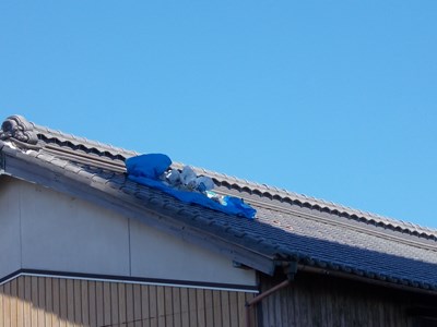 台風被害で瓦が破損写真