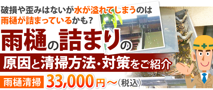 雨樋掃除は業者に頼める？雨樋詰まり対策と清掃方法もご紹介