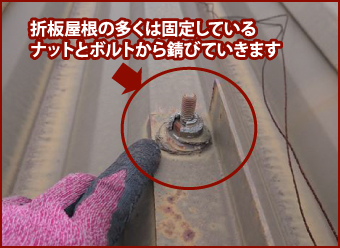 対策：ボルトキャップの設置