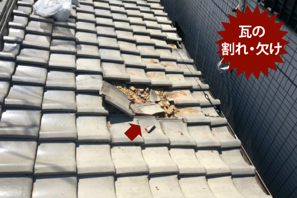 瓦の割れや欠け
