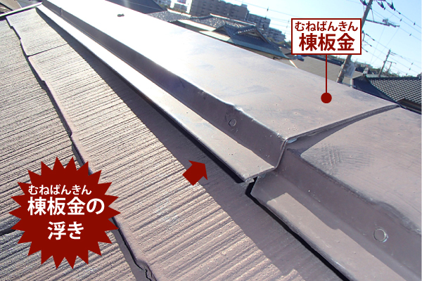 棟板金の浮き、釘(ビス)浮き