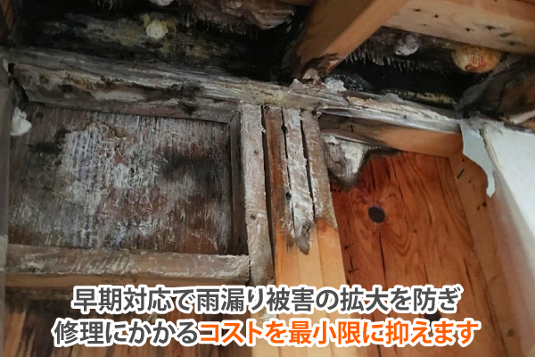 雨漏り修理の依頼は屋根専門業者へ‼