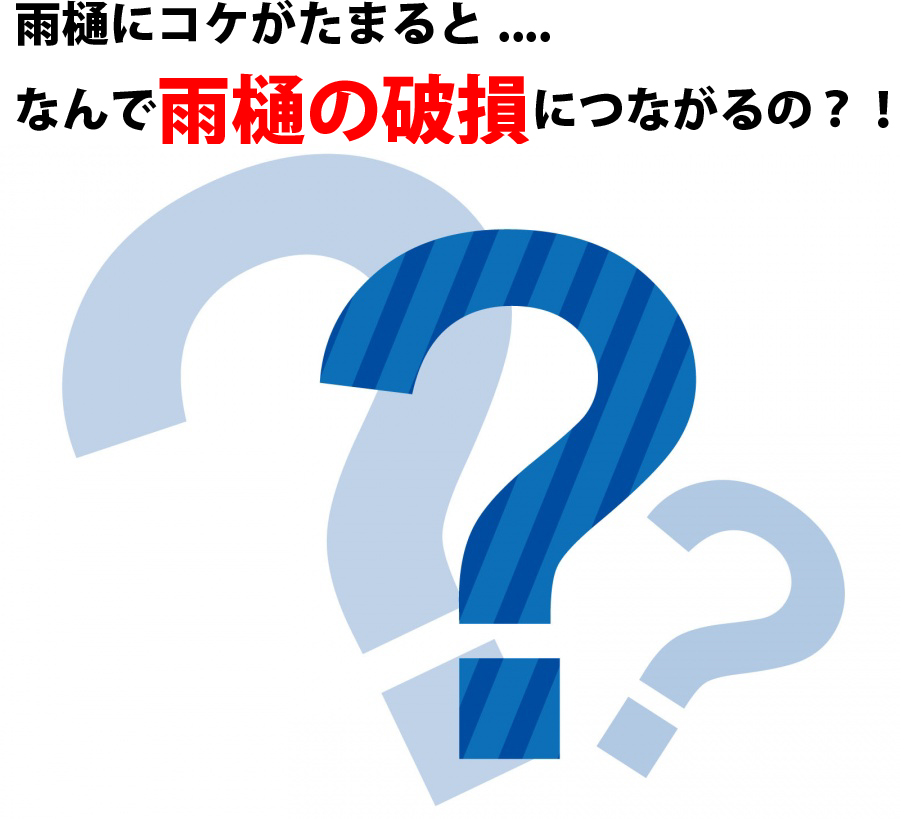 雨樋に苔ががたまると、、、なんで雨樋の破損に繋がるの？