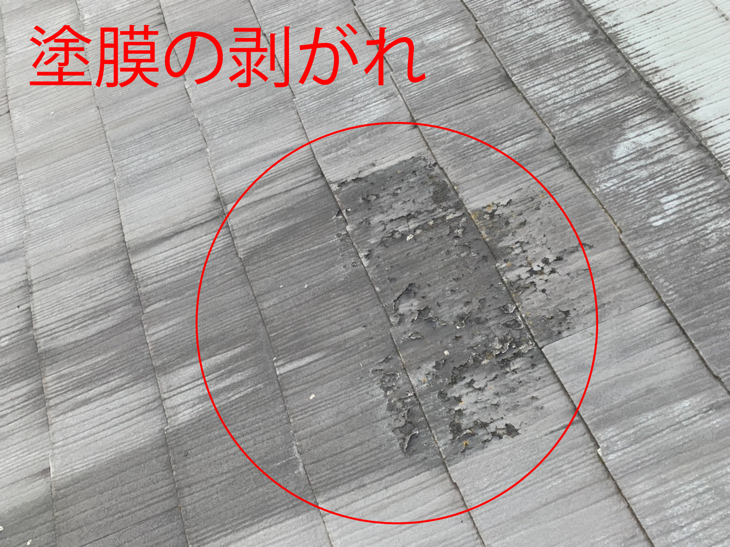 カラーベスト屋根の塗膜の剥がれ