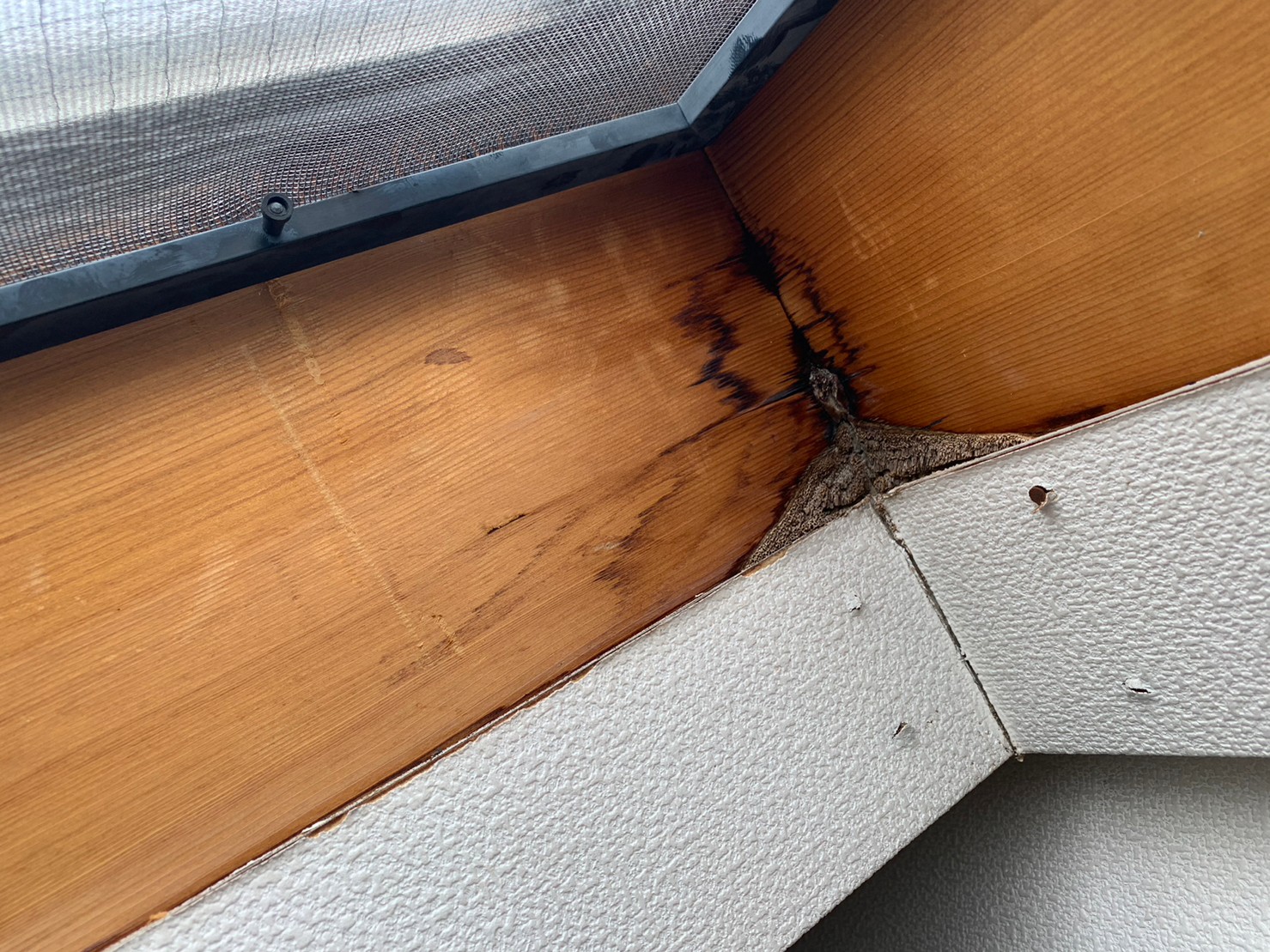 クロスが剥がれた室内