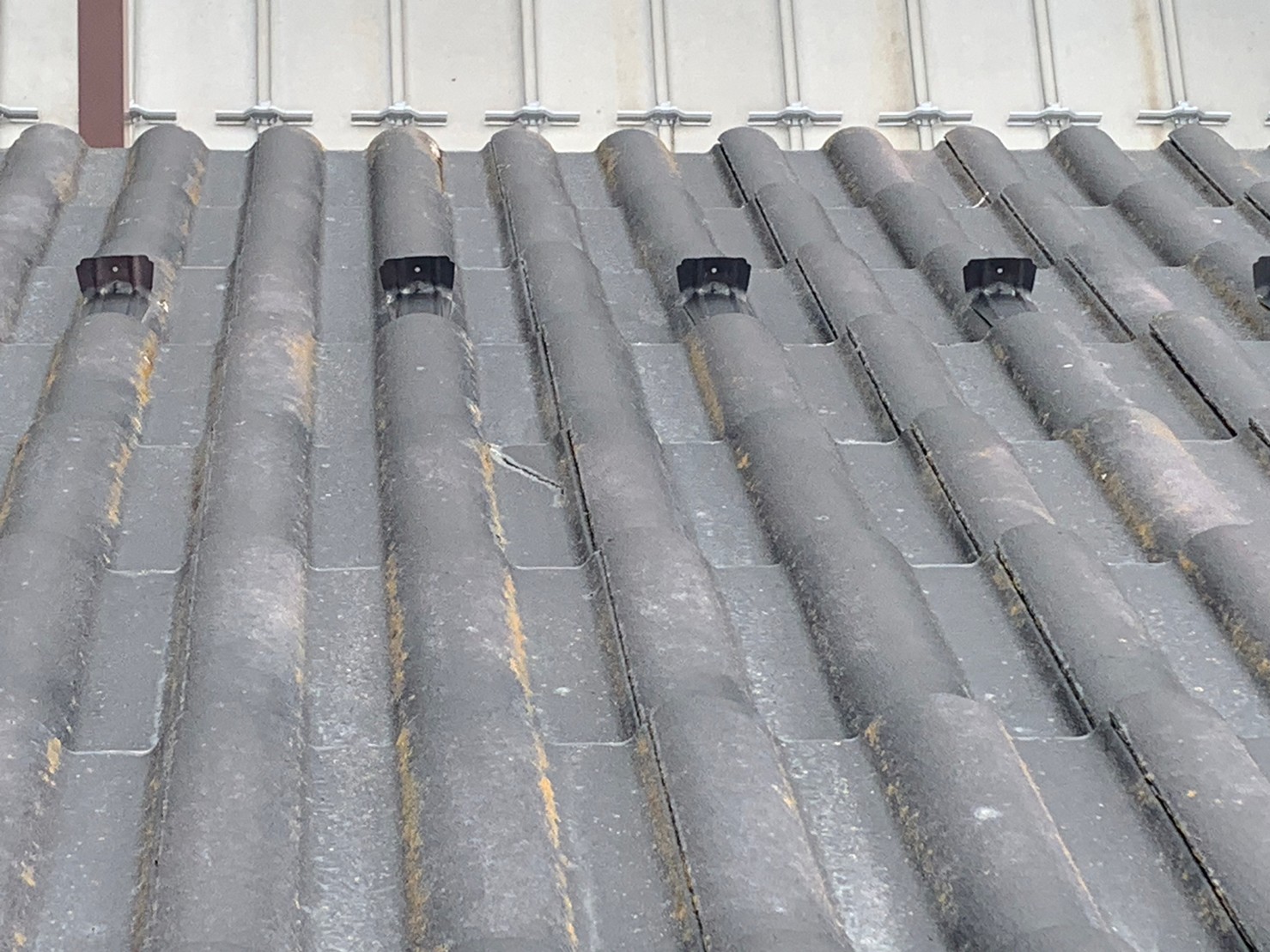 モニエル瓦の劣化状況