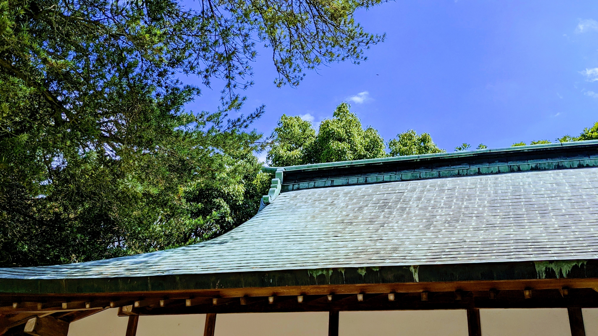 神社の屋根