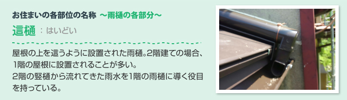 雨樋の各部分　這樋：屋根の上を這うように設置された雨樋