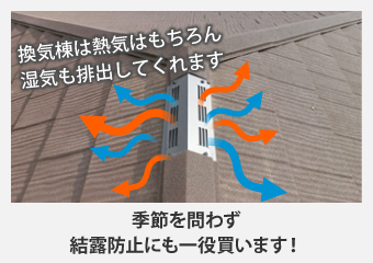 換気棟は熱気はもちろん、湿気も排出してくれるので季節を問わず結露防止にも一役買います！