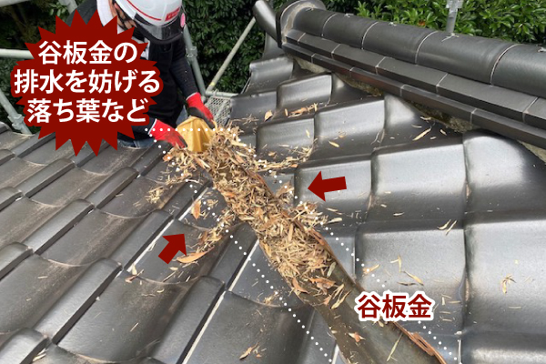 谷板金の排水を妨げる落ち葉など